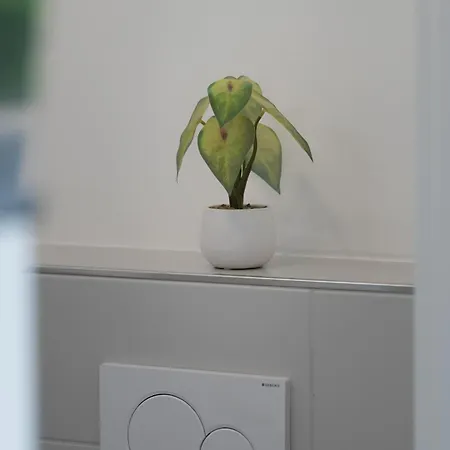 Lit Living Altenstadt