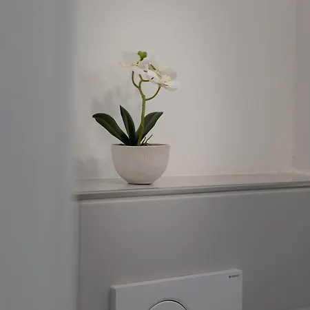 Lit Living Lägenhet *