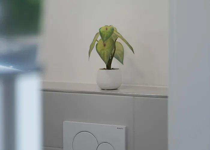 Lit Living Altenstadt